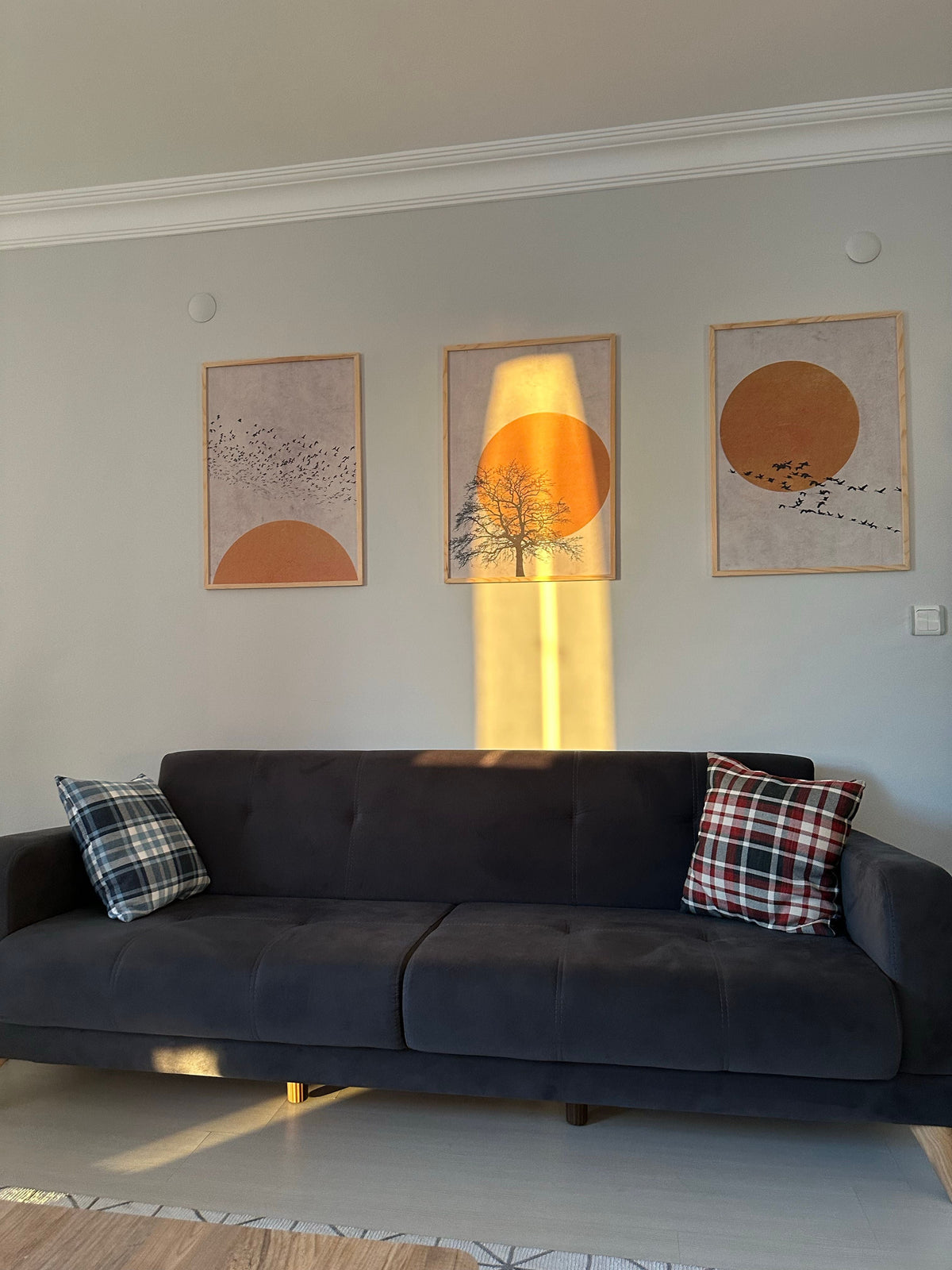 Posters & Affiches